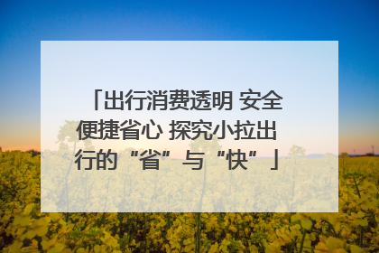 出行消费透明 安全便捷省心 探究小拉出行的“省”与“快”