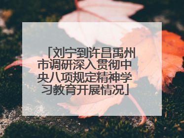 刘宁到许昌禹州市调研深入贯彻中央八项规定精神学习教育开展情况