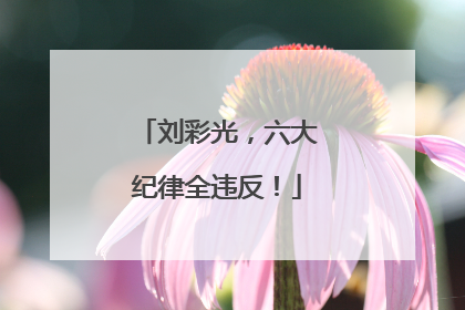 刘彩光，六大纪律全违反！