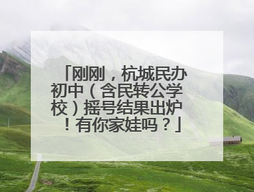 刚刚，杭城民办初中（含民转公学校）摇号结果出炉！有你家娃吗？