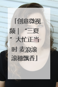 创意微视频｜“三夏”大忙正当时 麦浪滚滚穗飘香