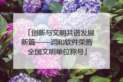 创新与文明共谱发展新篇——润和软件荣膺全国文明单位称号