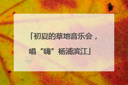 初夏的草地音乐会，唱“嗨”杨浦滨江