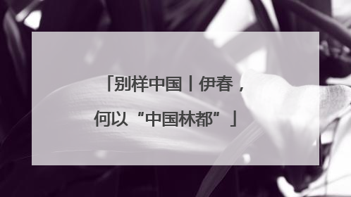 别样中国丨伊春，何以“中国林都”