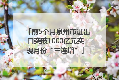前5个月泉州市进出口突破1000亿元实现月份“三连增”