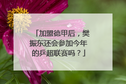 加盟德甲后，樊振东还会参加今年的乒超联赛吗？