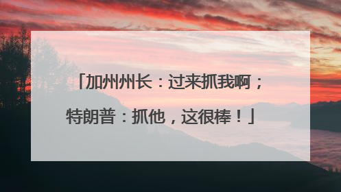 加州州长：过来抓我啊；特朗普：抓他，这很棒！