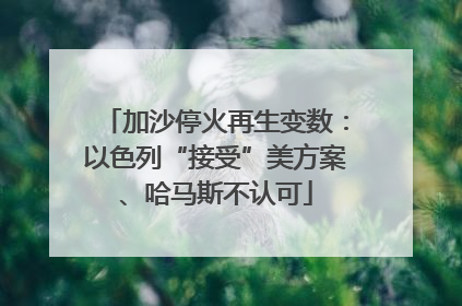 加沙停火再生变数：以色列“接受”美方案、哈马斯不认可
