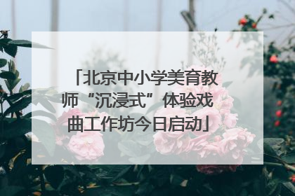 北京中小学美育教师“沉浸式”体验戏曲工作坊今日启动