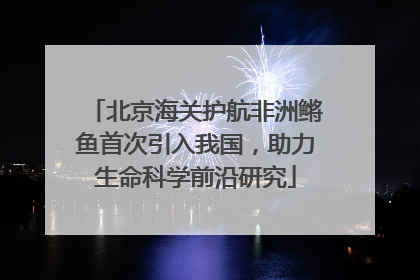 北京海关护航非洲鳉鱼首次引入我国，助力生命科学前沿研究