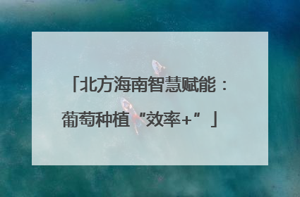 北方海南智慧赋能：葡萄种植“效率+”