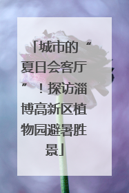 城市的“夏日会客厅”！探访淄博高新区植物园避暑胜景