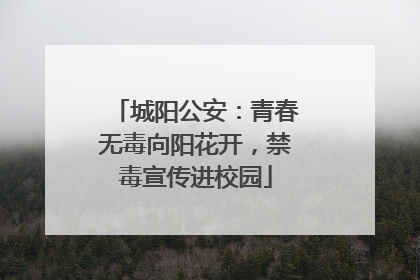 城阳公安：青春无毒向阳花开，禁毒宣传进校园