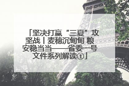 坚决打赢“三夏”攻坚战丨麦穗沉甸甸 粮安稳当当——省委一号文件系列解读①