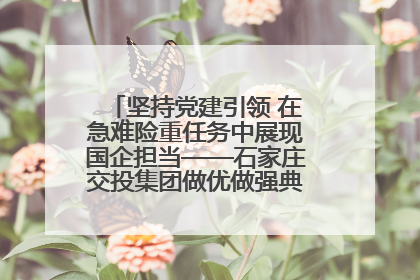 坚持党建引领 在急难险重任务中展现国企担当——石家庄交投集团做优做强典型报道之一