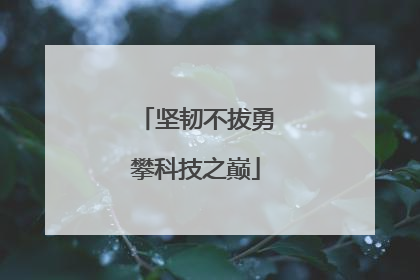 坚韧不拔勇攀科技之巅