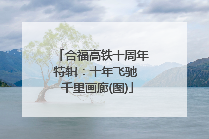 合福高铁十周年特辑：十年飞驰 千里画廊(图)
