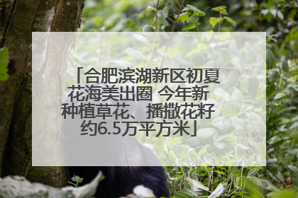 合肥滨湖新区初夏花海美出圈 今年新种植草花、播撒花籽约6.5万平方米