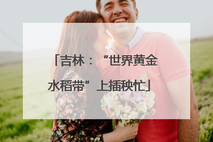 吉林：“世界黄金水稻带”上插秧忙