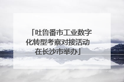 吐鲁番市工业数字化转型考察对接活动在长沙市举办