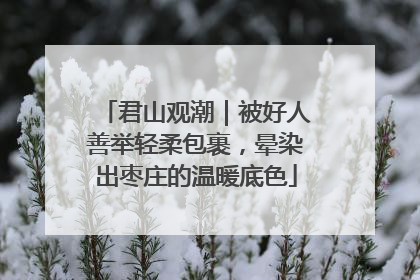 君山观潮｜被好人善举轻柔包裹，晕染出枣庄的温暖底色