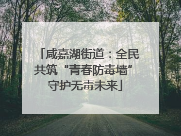 咸嘉湖街道：全民共筑“青春防毒墙” 守护无毒未来