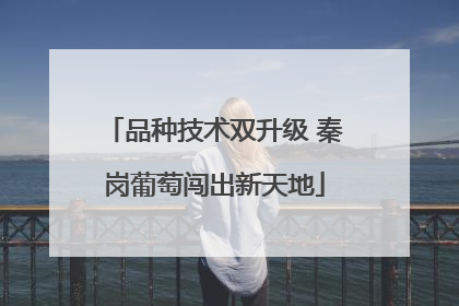 品种技术双升级 秦岗葡萄闯出新天地