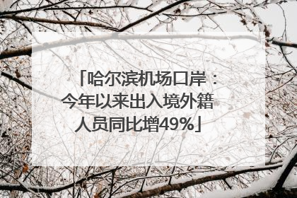 哈尔滨机场口岸：今年以来出入境外籍人员同比增49%