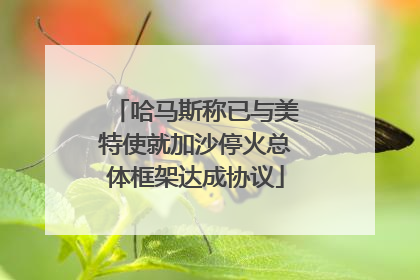 哈马斯称已与美特使就加沙停火总体框架达成协议