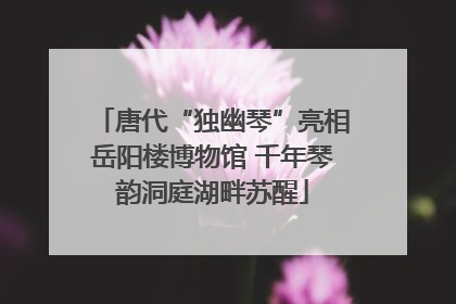 唐代“独幽琴”亮相岳阳楼博物馆 千年琴韵洞庭湖畔苏醒