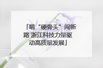 啃“硬骨头”闯新路 浙江科技力量驱动高质量发展