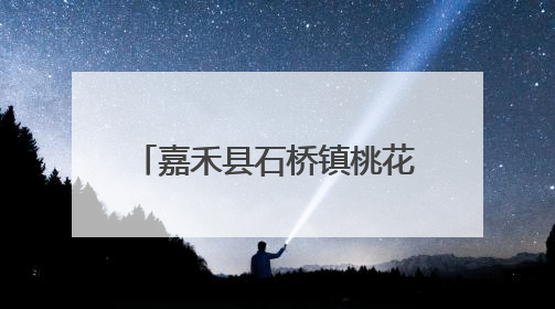 嘉禾县石桥镇桃花源村：盘活闲置用地发展针织产业 织就乡村振兴新图景