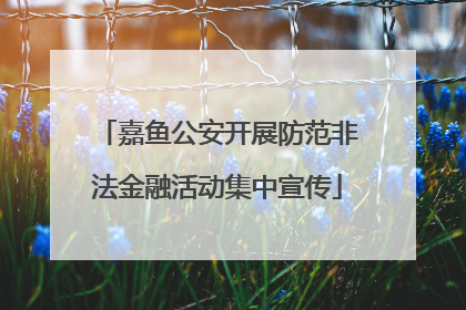 嘉鱼公安开展防范非法金融活动集中宣传