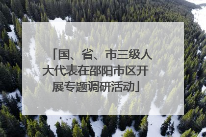 国、省、市三级人大代表在邵阳市区开展专题调研活动