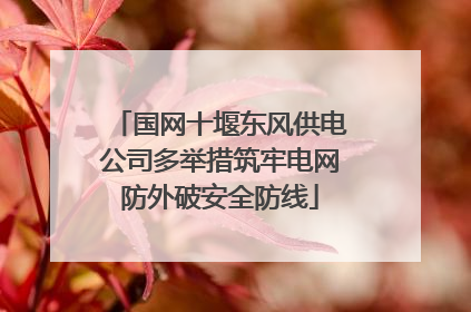 国网十堰东风供电公司多举措筑牢电网防外破安全防线