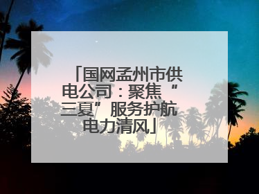 国网孟州市供电公司：聚焦“三夏”服务护航电力清风