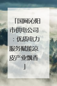 国网沁阳市供电公司：优质电力服务赋能凉皮产业飘香