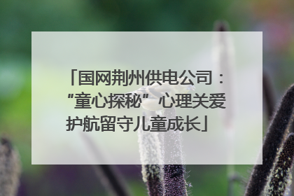国网荆州供电公司：“童心探秘”心理关爱护航留守儿童成长