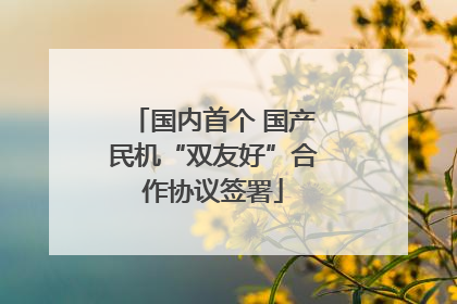 国内首个 国产民机“双友好”合作协议签署