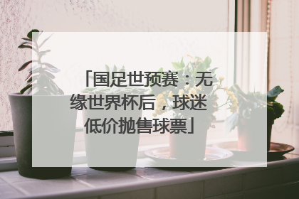 国足世预赛：无缘世界杯后，球迷低价抛售球票
