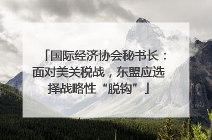 国际经济协会秘书长：面对美关税战，东盟应选择战略性“脱钩”