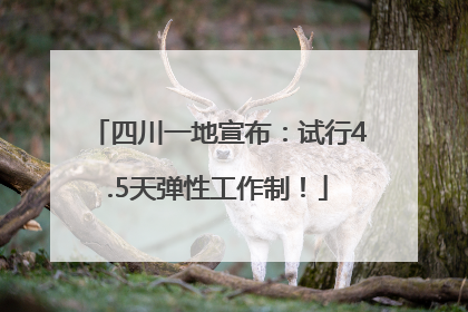 四川一地宣布：试行4.5天弹性工作制！