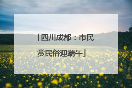 四川成都：市民赏民俗迎端午