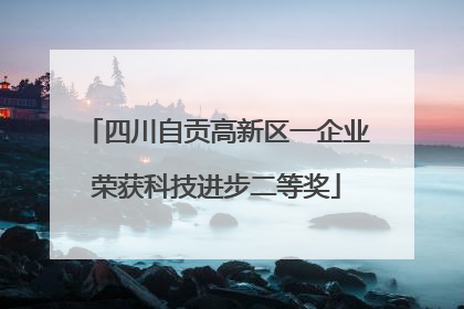 四川自贡高新区一企业荣获科技进步二等奖