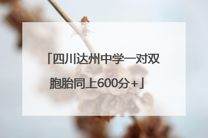 四川达州中学一对双胞胎同上600分+