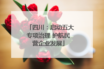 四川：启动五大专项治理 护航民营企业发展