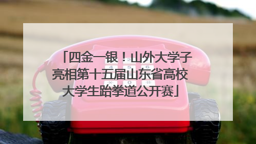 四金一银！山外大学子亮相第十五届山东省高校大学生跆拳道公开赛