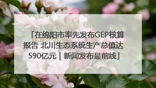 在绵阳市率先发布GEP核算报告 北川生态系统生产总值达590亿元｜新闻发布最前线