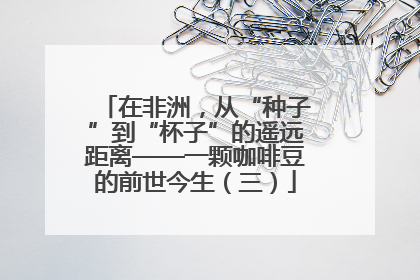 在非洲，从“种子”到“杯子”的遥远距离——一颗咖啡豆的前世今生（三）