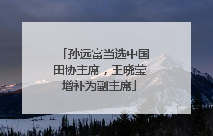 孙远富当选中国田协主席，王晓莹增补为副主席